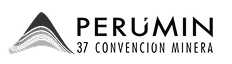 Perumin logo